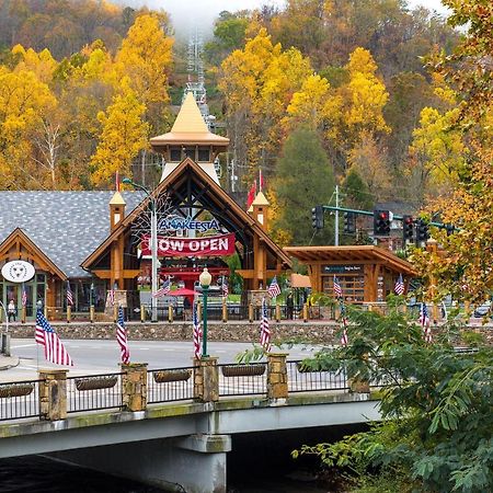 Bear Tracks, 2 Bedrooms, Hot Tub, Fireplace, Wifi, Jetted Tub, Sleeps 6 Gatlinburg Extérieur photo