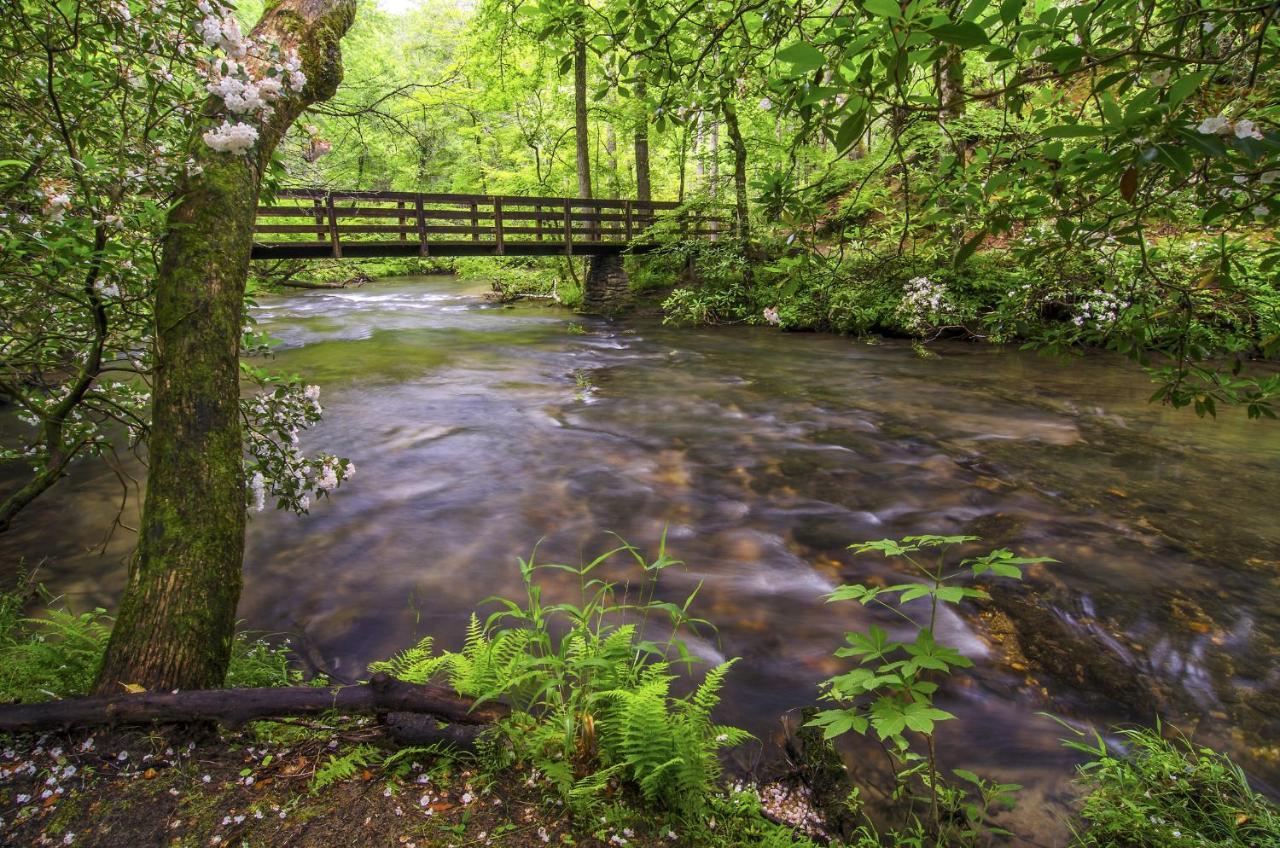 Bear Tracks, 2 Bedrooms, Hot Tub, Fireplace, Wifi, Jetted Tub, Sleeps 6 Gatlinburg Extérieur photo